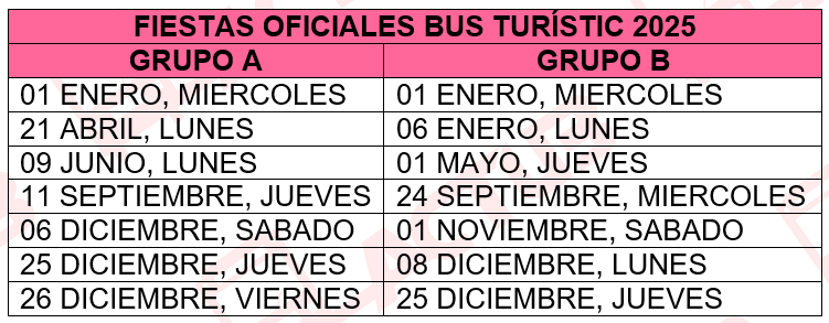 Grupo fiesta Bus turistic