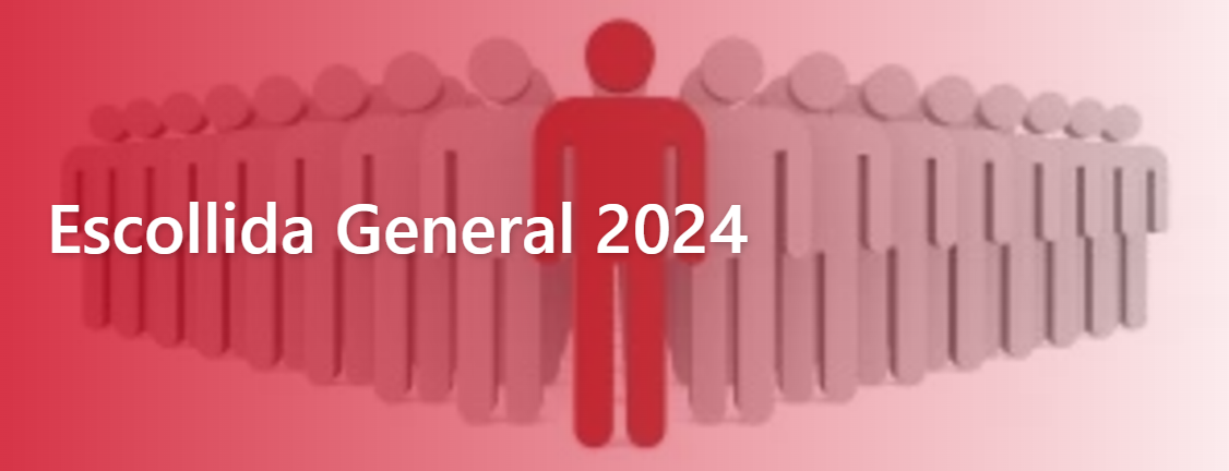 Imagen Escogida General 2024